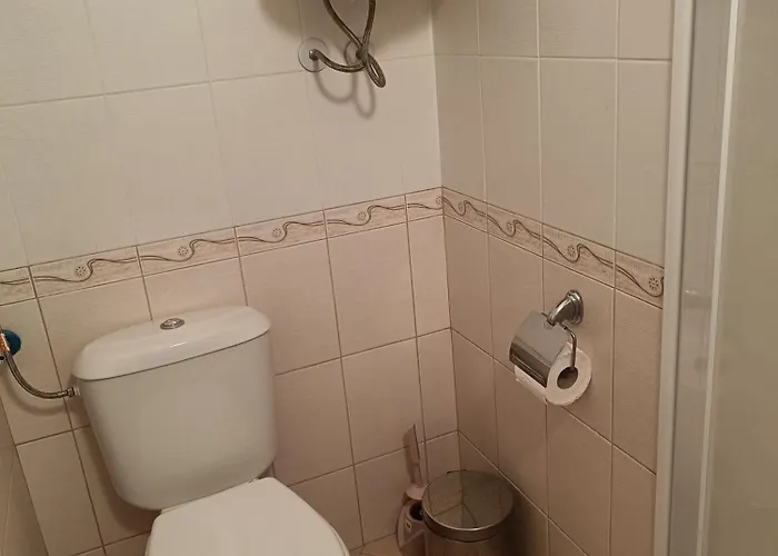 Rose Sluneční pobřeží